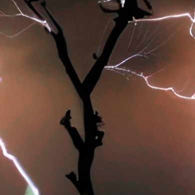 DanieLion (danielion22) Header Photo Added 2024-08-17