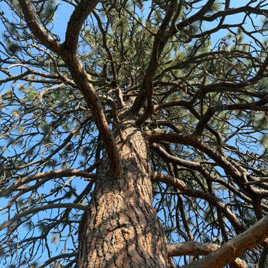 Pretty Prinsex (prettyprinsex) Header Photo Added 2025-06-10