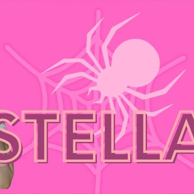 Stella🕷️ (alt_stela) Header Photo Added 2025-12-02