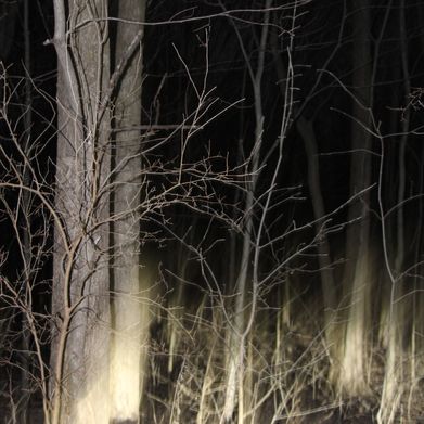 Zombi &lt;3 Added Photo on 2025-05-06