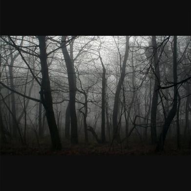 BriDSM92Censored (bridsm92censored) Header Photo Added 2025-09-06