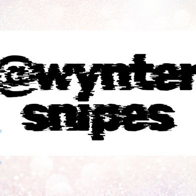 Wynter Snipes (wyntersnipes) Header Photo Added 2025-09-14