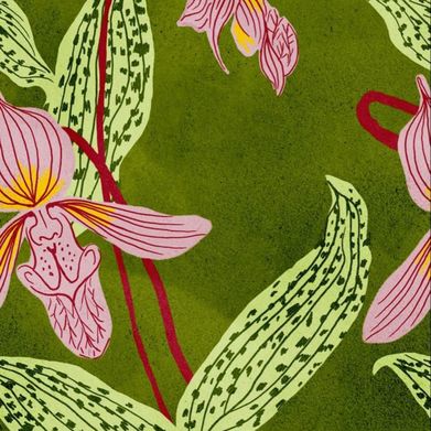 Tanya (tanyawife) Header Photo Added 2025-03-08