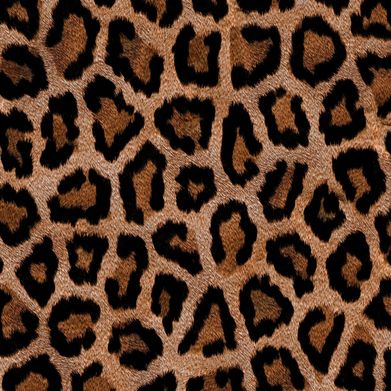 𝔟𝔞𝔯𝔟𝔢𝔡 𝔴𝔦𝔯𝔢 𝔟𝔯𝔞𝔱 • FINDOM (barbedwirebratt) Header Photo Added 2025-08-16