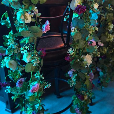 Cynical Kitten Club (sinicalkitten) Header Photo Added 2025-03-24