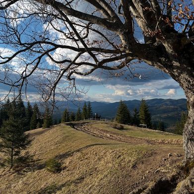 NikaFaint (nikafaint) Header Photo Added 2025-04-24