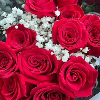 Ambrosia Dee (ambrosiadeexxx) Header Photo Added 2025-10-16