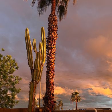 Ti (ticarti) Header Photo Added 2025-04-17