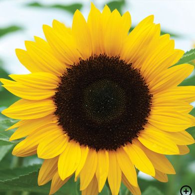 ~ Lia ./ 🎀 (ilovephotographyyy) Header Photo Added 2025-05-20