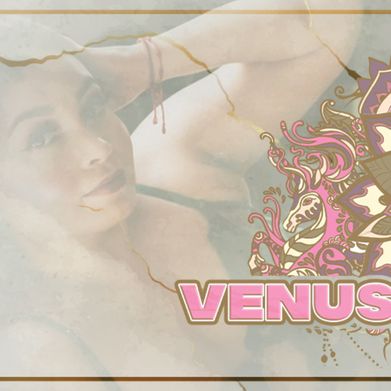 Venus Sunshine VIP (venussunshinevip) Header Photo Added 2025-01-07
