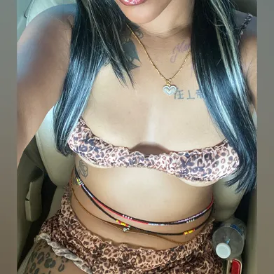 shayshay Profile Photo