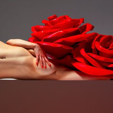 🏹 𝐃 𝐄 𝐉 𝐀 🤍 (deja.anastacia) Header Photo Added 2025-02-08