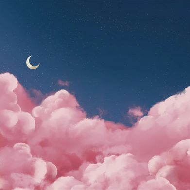 Mila (realexoticmila) Header Photo Added 2025-03-08