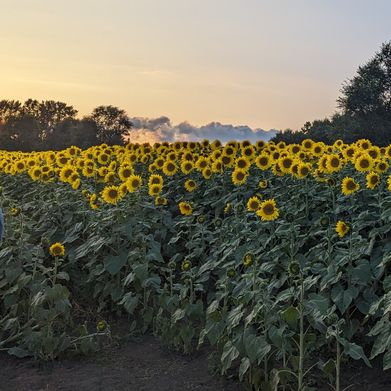 Rachel | Bellyfairy (bellyfairy) Header Photo Added 2024-05-28