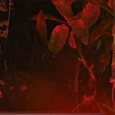 Sam ☽ Added Photo on 2025-06-02