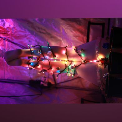 Starrlight (starrlight5) Header Photo Added 2025-01-26