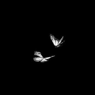 𝐀𝐬𝐡𝐥𝐞𝐲 𝐒𝐜𝐡𝐚𝐟𝐟𝐢𝐧𝐨 (ashleyschaffino) Header Photo Added 2025-10-25