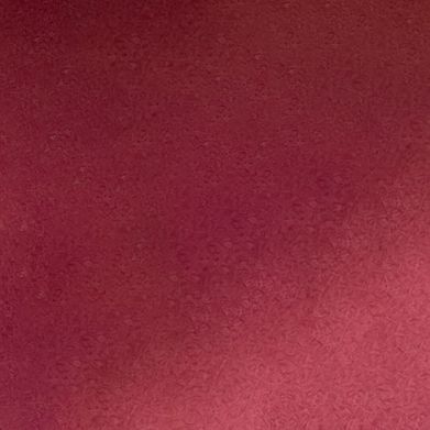 𝘌𝘝𝘈 𝘓𝘜𝘙𝘌 🌸 (lureeva) Header Photo Added 2025-01-10