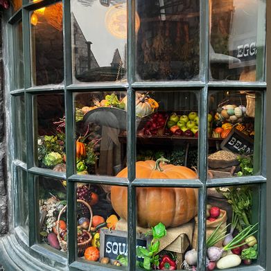 Raven Added Photo on 2024-11-21