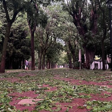 Bastet-8 (bastet-8) Profile Photo Added 2025-10-31