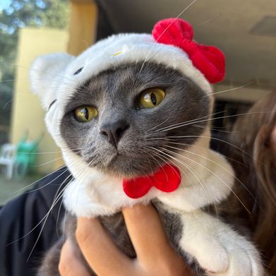 su n favorita (soriprincess) Header Photo Added 2025-07-30