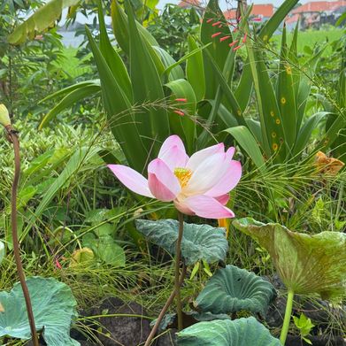 Midge’s VIP Section Added Photo on 2025-03-08