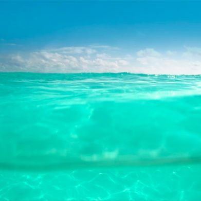 ᗷᗩ𝗂ᒪ𝖤Y🫧🐠 Added Photo on 2025-01-07