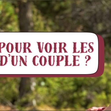 Hello Limoon (hellomoonli) Header Photo Added 2024-11-09