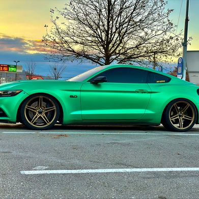 Chanelle_joe (shananahh_joe) Header Photo Added 2025-04-24