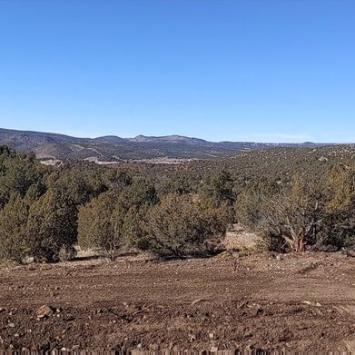 Little Linda (littlelinda) Header Photo Added 2024-09-02