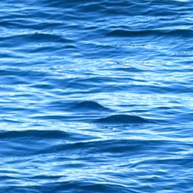 Darlene Dublin (darlenedublin99) Header Photo Added 2025-05-09