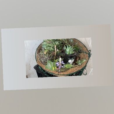 Ciara johnson Added Photo on 2025-10-11