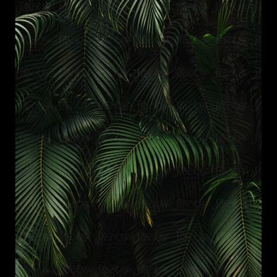 Anna (annavaleria) Header Photo Added 2024-08-21