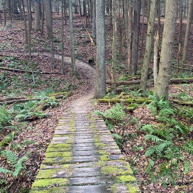 Starfire Alexis (u447781060) Header Photo Added 2025-02-25