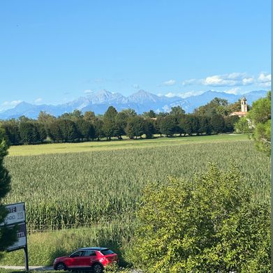 Kyla (kyahlou) Header Photo Added 2025-01-29