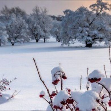 Rain Waters TV (rainwaterstv) Header Photo Added 2025-12-05