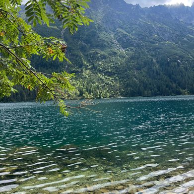 FameDoll (flame_dollx) Header Photo Added 2025-09-18