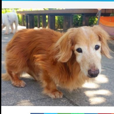 Amy Silverberg (amysilverberg) Header Photo Added 2024-09-14