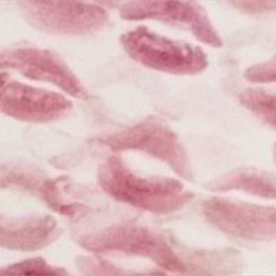 Nana  🎀  ଘ(੭ˊᵕˋ)੭* ੈ✩‧₊˚ (natashanahirr) Header Photo Added 2025-03-04