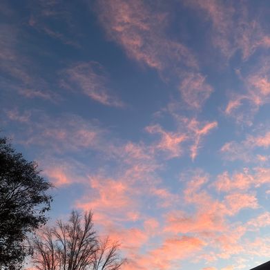 Baby girl (blueeyebby.69) Header Photo Added 2024-09-02