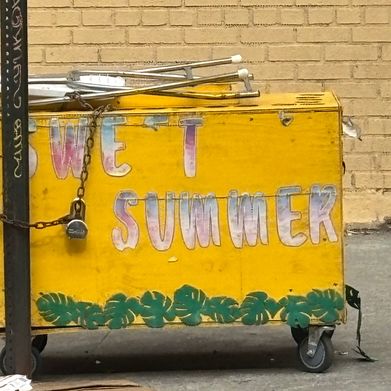 Summer (misssummerwest) Header Photo Added 2025-04-11