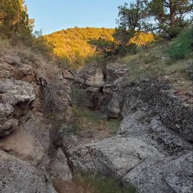 Little Linda (littlelinda) Header Photo Added 2025-03-11