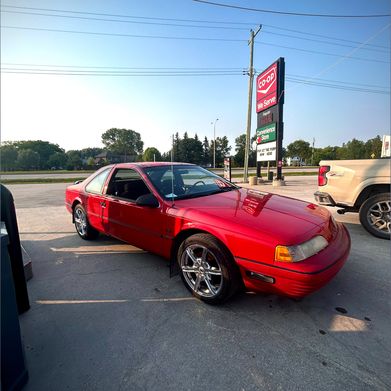 Kitten (videlkitten) Header Photo Added 2025-07-18