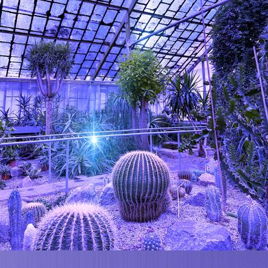 Marя (fniks) Header Photo Added 2025-09-04