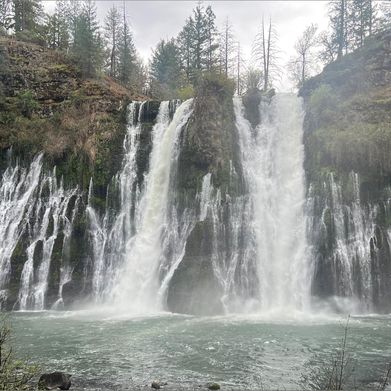 Missjazz 🏳️‍⚧️ (missjazzy) Header Photo Added 2025-08-18