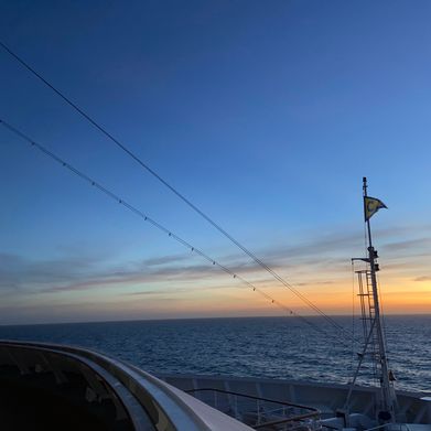 Sol (foxysol) Header Photo Added 2025-02-28