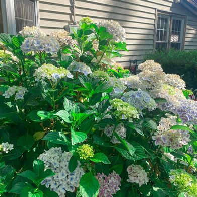 Koko🤍 (kokomagic) Header Photo Added 2024-11-21