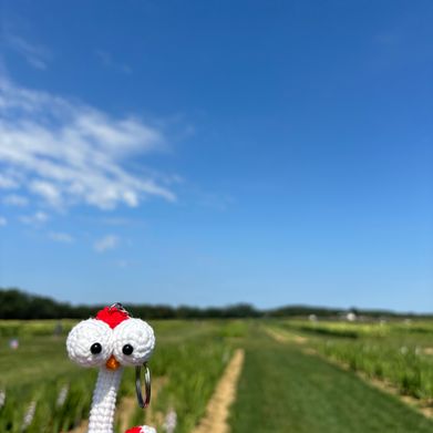 Raquel sky (raquel_sky) Header Photo Added 2025-08-15