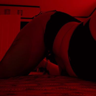 Lily E (lilyevans97) Header Photo Added 2024-09-14