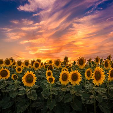 🎪❤︎𝓑𝓪𝓽 𝓽𝓱𝓮 𝓒𝓵𝓸𝔀𝓷❤︎🦇 (lilclownbat) Header Photo Added 2025-01-02